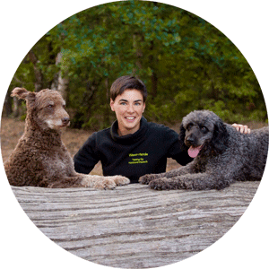 Anti Jagd Workshop Hundeschule Bremen