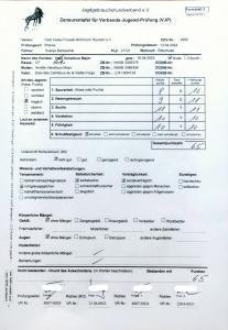 Zensurentafel VJP