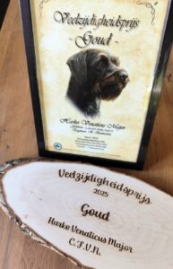 Vielseitigkeitspreis Gold