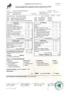 Verbandsgebrauchsprüfung ÜF I. Preis, 333 Punkte, Suche 4h